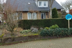 20230217_105219-1200