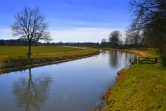 Fotowedstrijd-Annemiek Dijksman