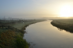 Fotowedstrijd-Annemiek Dijksman