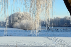 Fotowedstrijd-G. Stokkink
