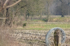 Fotowedstrijd-G. Stokkink