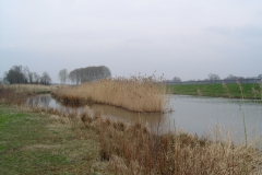 Fotowedstrijd-G. Stokkink