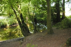 Fotowedstrijd-Hans Vlot 7