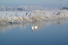 Fotowedstrijd-Helma 3