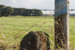 Fotowedstrijd-Jantine Haverkamp 10