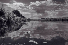 Fotowedstrijd-Tim Wengelaar