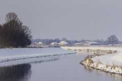 Fotowedstrijd-ton trel 2
