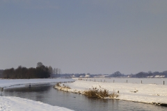 Fotowedstrijd-ton trel