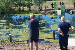 20260729-tewaterlating-trekpont-haarlo